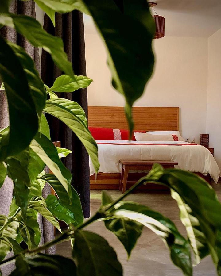 Casa Cafeologo Hotell San Cristóbal de Las Casas Eksteriør bilde