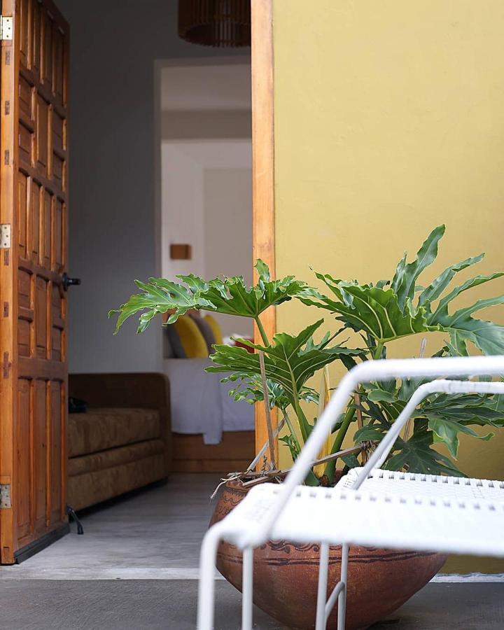 Casa Cafeologo Hotell San Cristóbal de Las Casas Eksteriør bilde