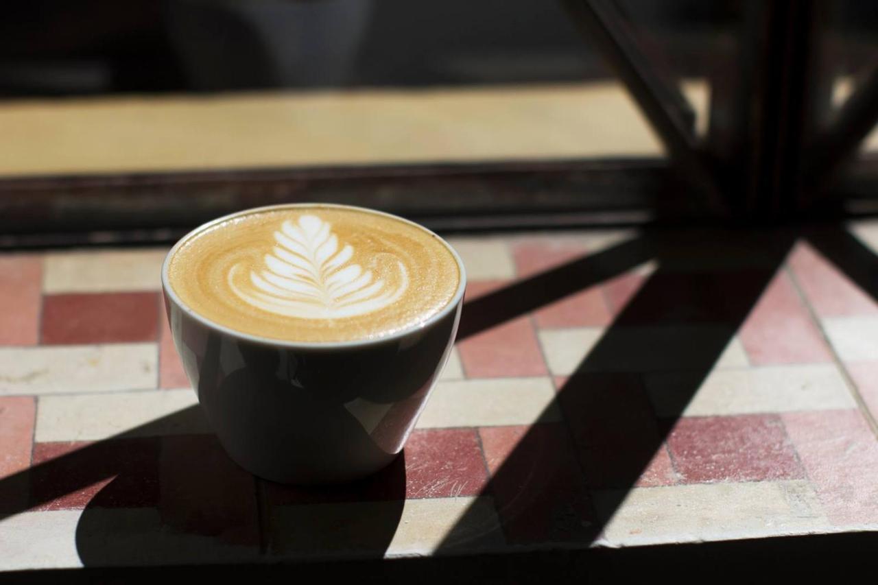 Casa Cafeologo Hotell San Cristóbal de Las Casas Eksteriør bilde